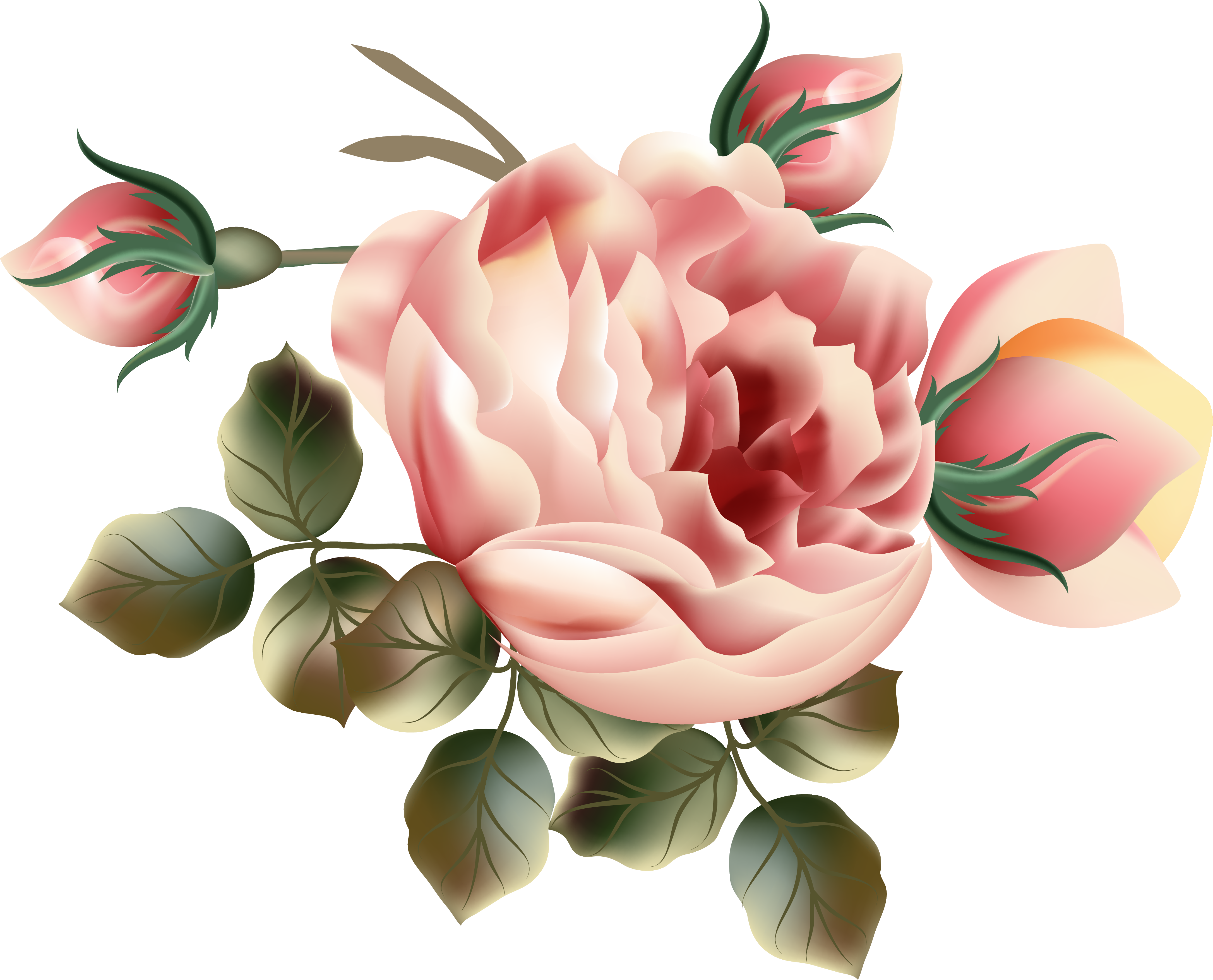 0 D331c 15a3f12b Orig - Beautiful Victorian Roses Throw Blanket (4347x3512)