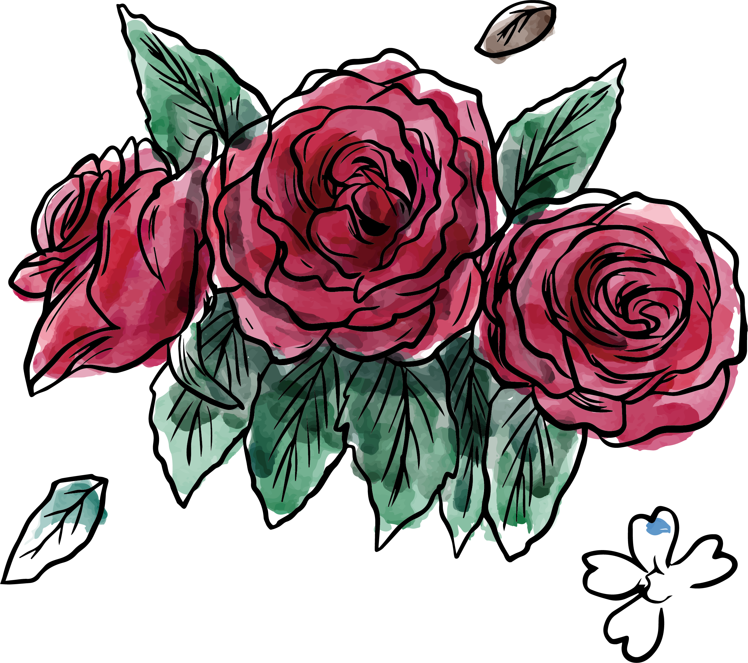 Garden Roses Beach Rose Flower Centifolia Roses - Watercolor Painting (2525x2237)