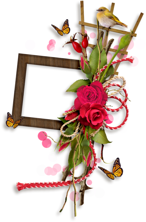 0 F11b2 15554aad Xl - Garden Roses (533x800)