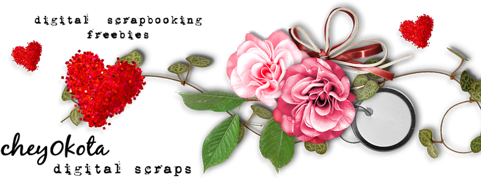 Geranien Pac Pink Sybil ,3 Pflanzen Pelargonium Peltatum (1000x374)