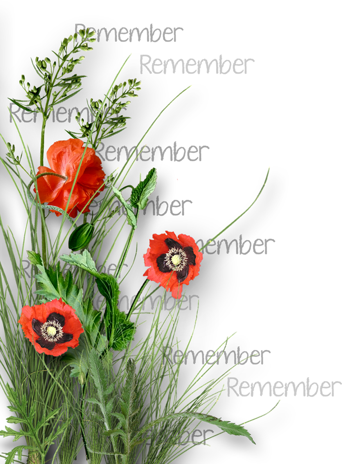 Preview Upcoming Kits, Grab My Digital Freebies & Downloadable - Digital Scrapbooking (1178x1600)