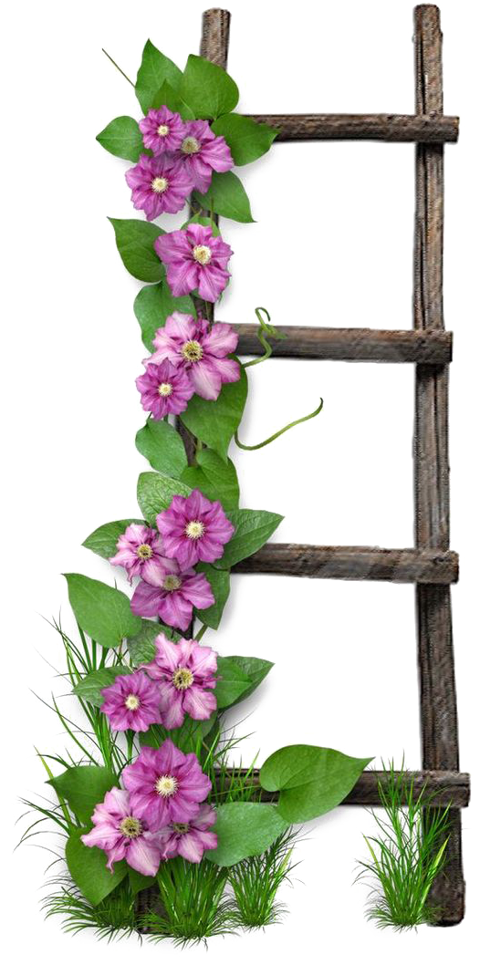 Flower Paper Digital Scrapbooking Ladder - Flowers On Ladder (564x1097)