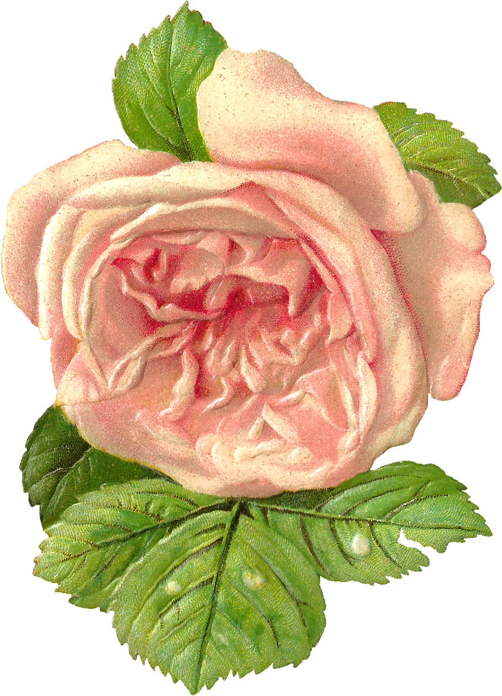 Eyfel Kulesi Pirinç Dekopaj Kağıdı 29x42 Cm - Rich (1357x1600)