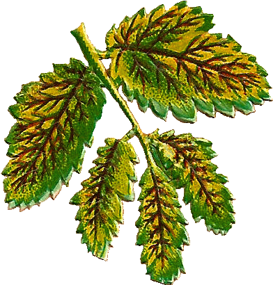 I Love All The Colors And Detail In This Victorian - Illustration (643x578)