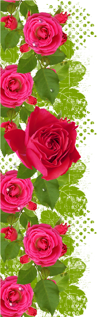 Em - Garden Roses (373x1024)