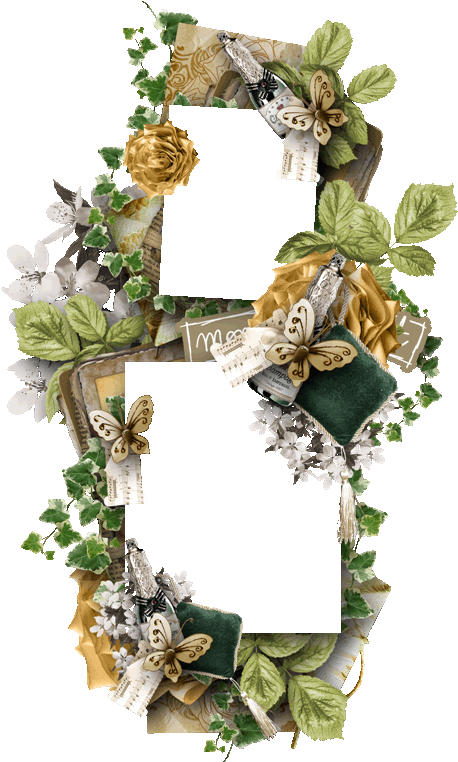 Picture Frame (457x800)