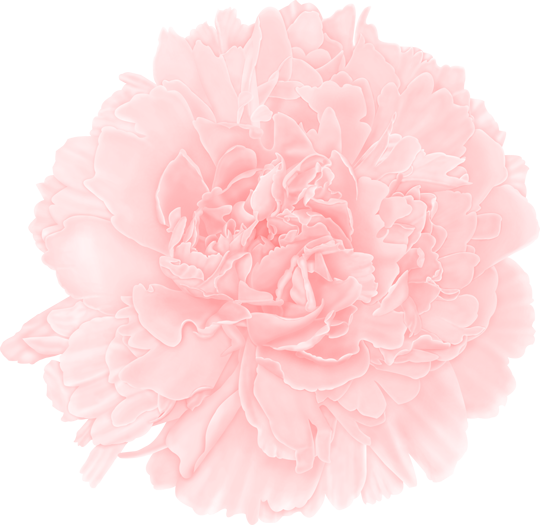 Thanks For Letting Me Share My Process For Creating - Carnation (540x525)