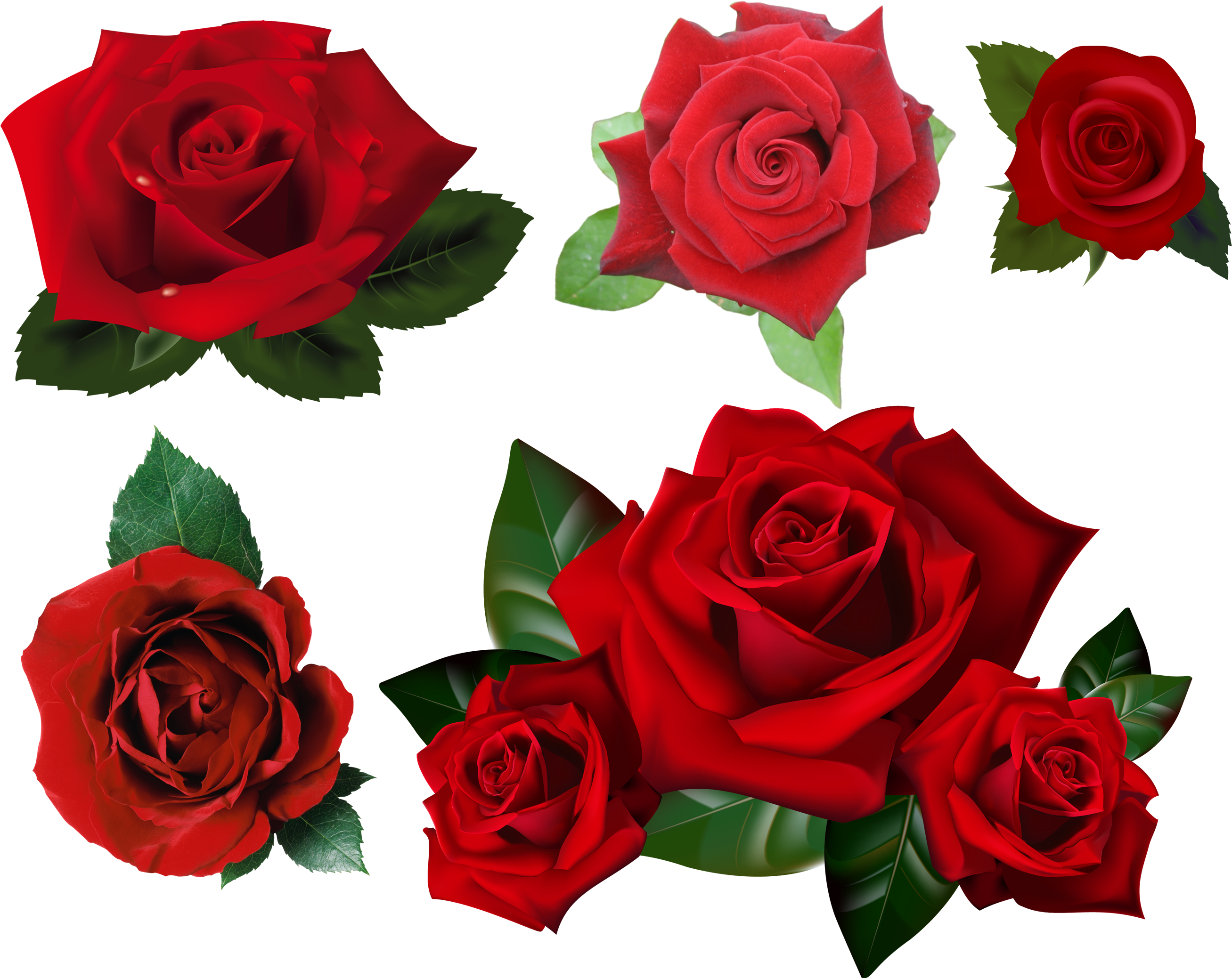 Roses Pack Png Stock By Gilgamesh-art - Transparent Background Roses Transparent (2840x2395)