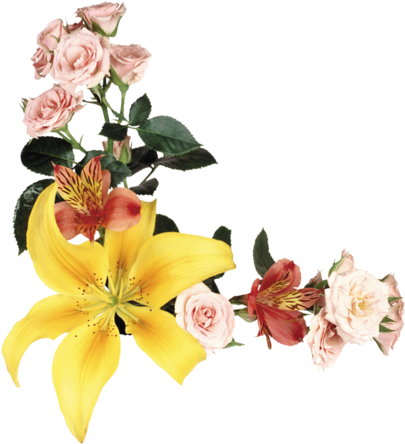 Украшалки Для Фш Уголки Цветочные - Esquineros De Rosas Color Melon (600x663)