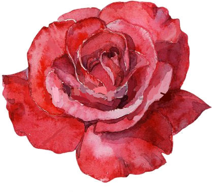 Red Rose Watercolor - Malowana Róża (450x411)