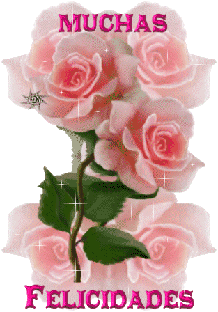Mis Imágenes - La Rosa Mas Linda Del Mundo (313x448)