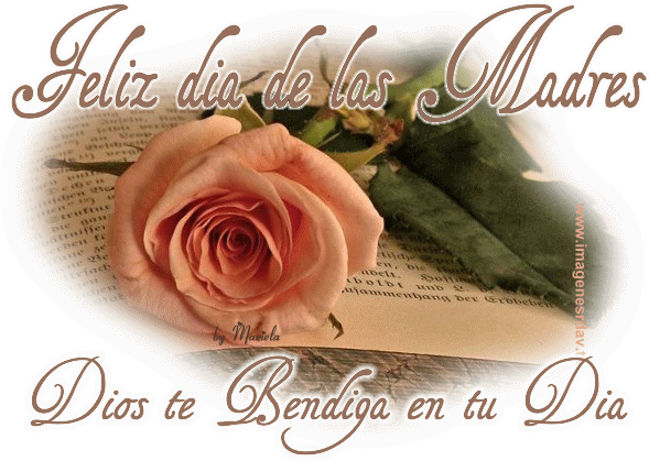 Para El Dia De La Madre Animados - Steve Madden Multi Color Stone Sandal (599x422)