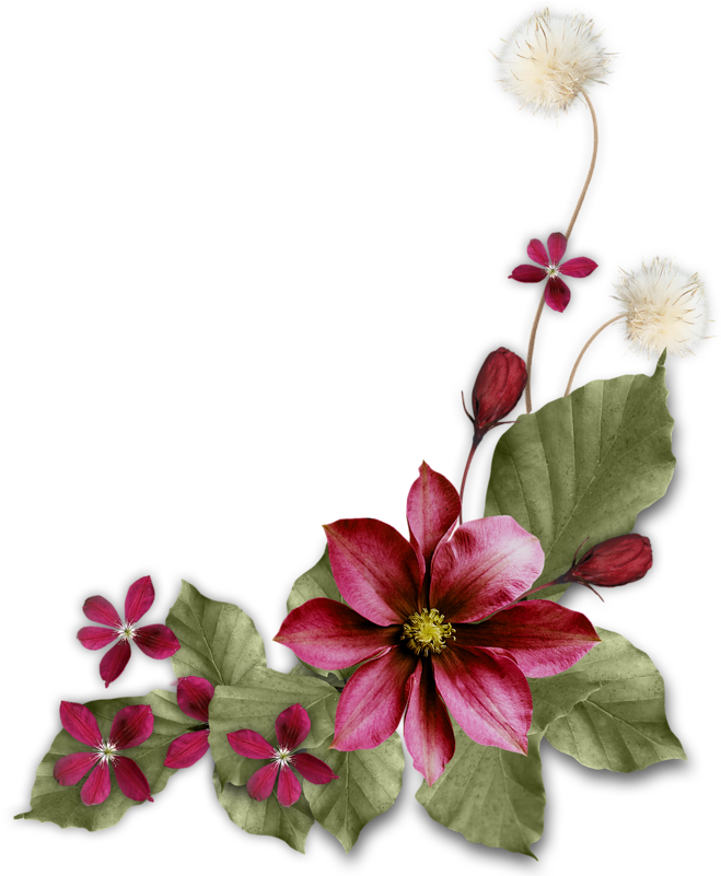 Обсуждение На Liveinternet - Dark Red Flower Png (800x800)