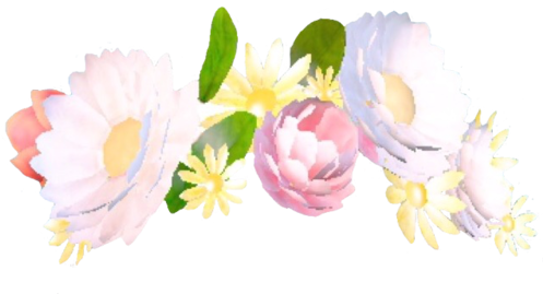 Snapchat Flower Crown Png File - Snapchat Flower Filter Png (500x283)