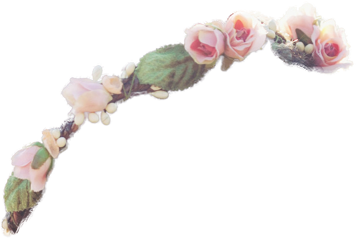 Crown Transparent Totally Transparent - Clear Background Flower Crown Png (807x807)
