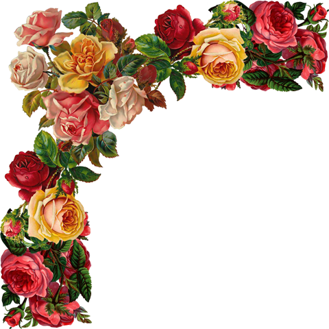 Цветочные Уголки - Molduras De Fotos Imagens Flores (480x480)