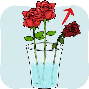 Immediately Remove Wilted Flowers - Flower (350x353)