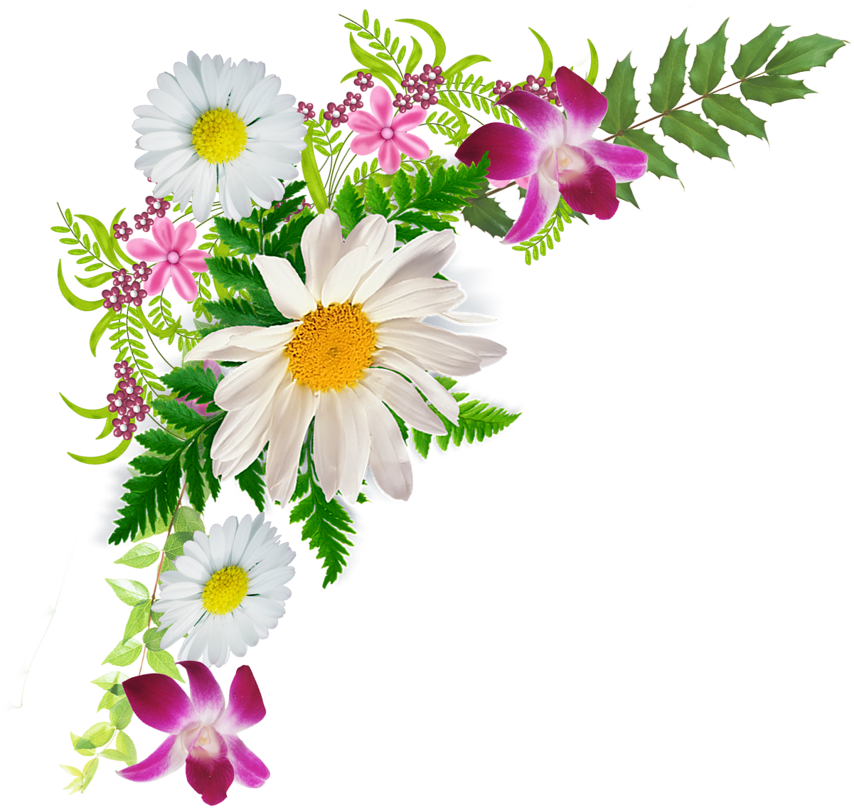 Цветочные Уголки - Цветочные Уголки На Прозрачном Фоне (1201x1136)