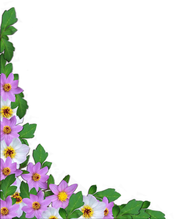 Flowers 5 - Цветочные Уголки Клипарт (556x699)