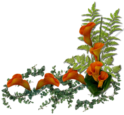 Уголки Цветочные И Не Только - Orange Flowers (400x371)