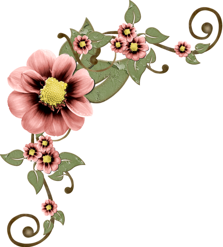 Цветочные Уголки Растровый Клипарт - Border Corner Colour Png (721x800)