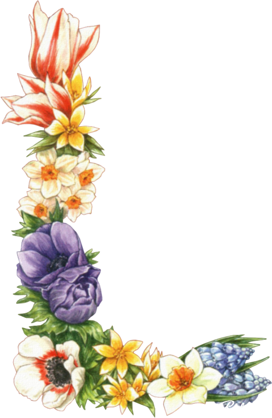 Цветочные Уголки Растровый Клипарт - Floral Corner Stationery Paper - 100 Sheets (557x855)