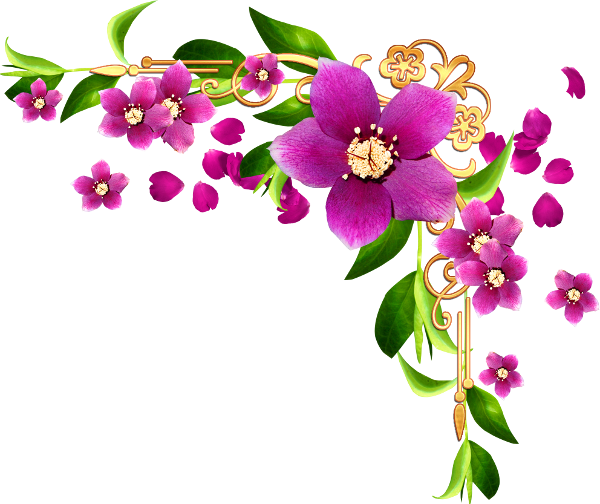 Клипарт Png С Цветочным Мотивом В Верхний Угол Рамки - Cadre Mauve Et Rose (600x504)