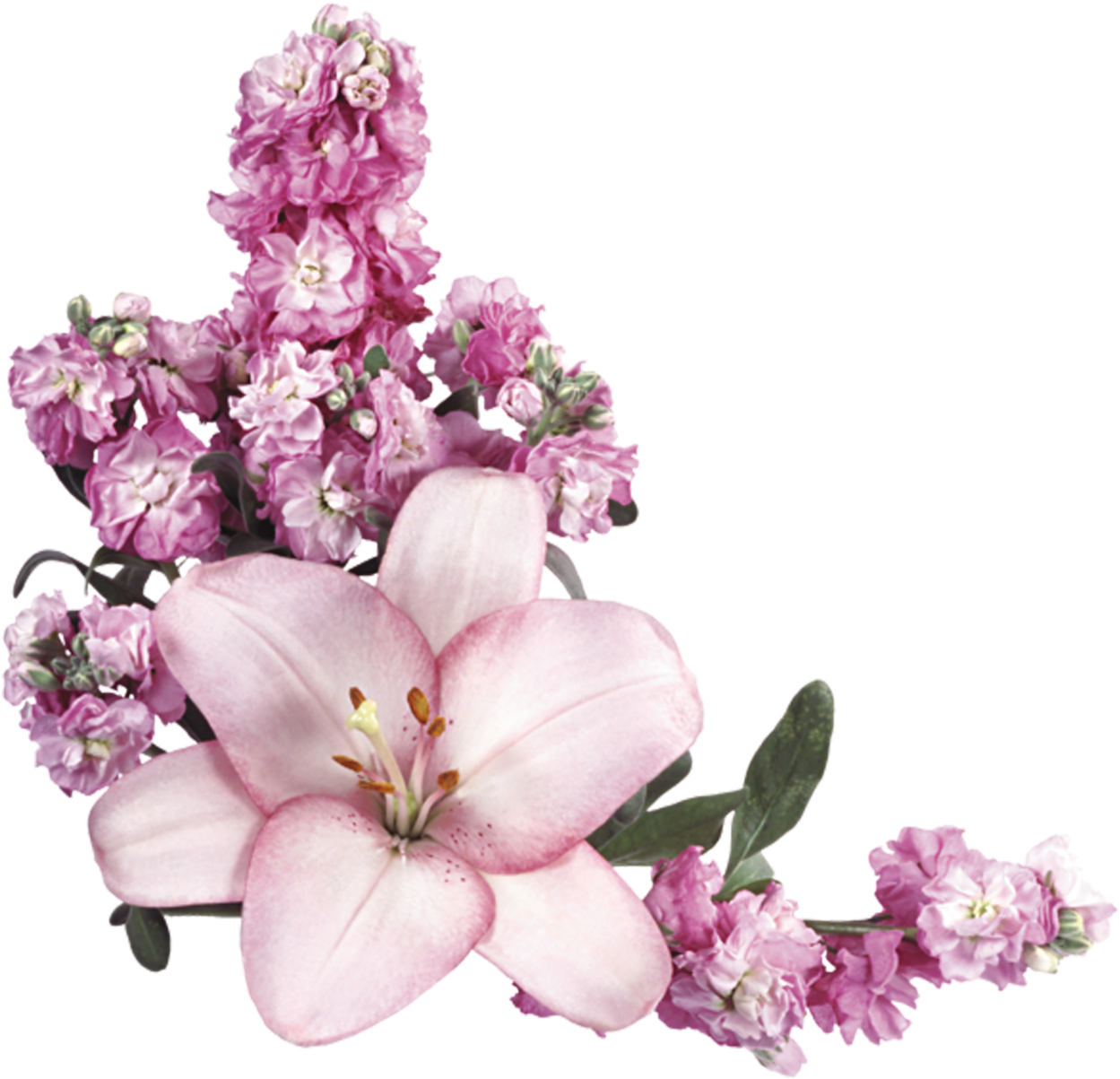 Цветочный Уголок - Цветы Уголок Пнг (1280x1218)