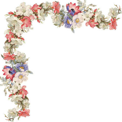 Цветочные Уголки На Прозрачном Фоне Для Вашего Творчества - Women Of Flowers (480x480)