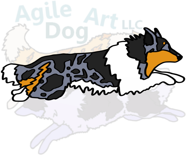 Picture - Rough Collie (800x800)