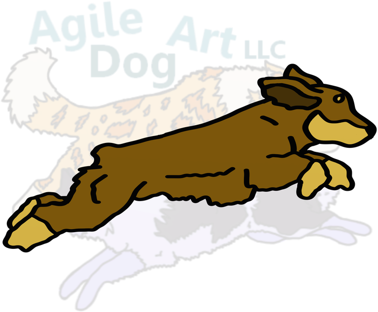 Picture - Rough Collie (800x800)