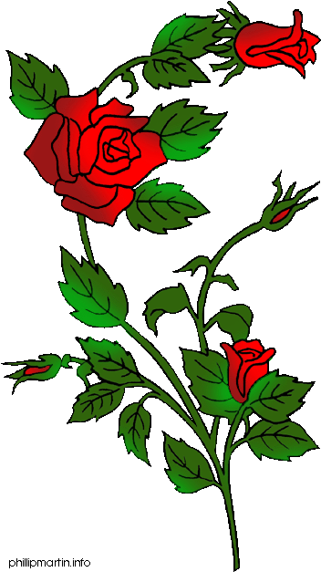Vine Clipart Rose Thorns - Rose Clip Art Gif (374x648)