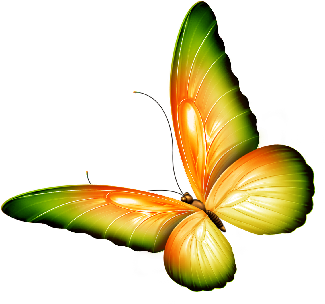 Clipart Flowers And Butterflies Border Clipart Panda - Clipart Flowers And Butterflies (1232x1140)