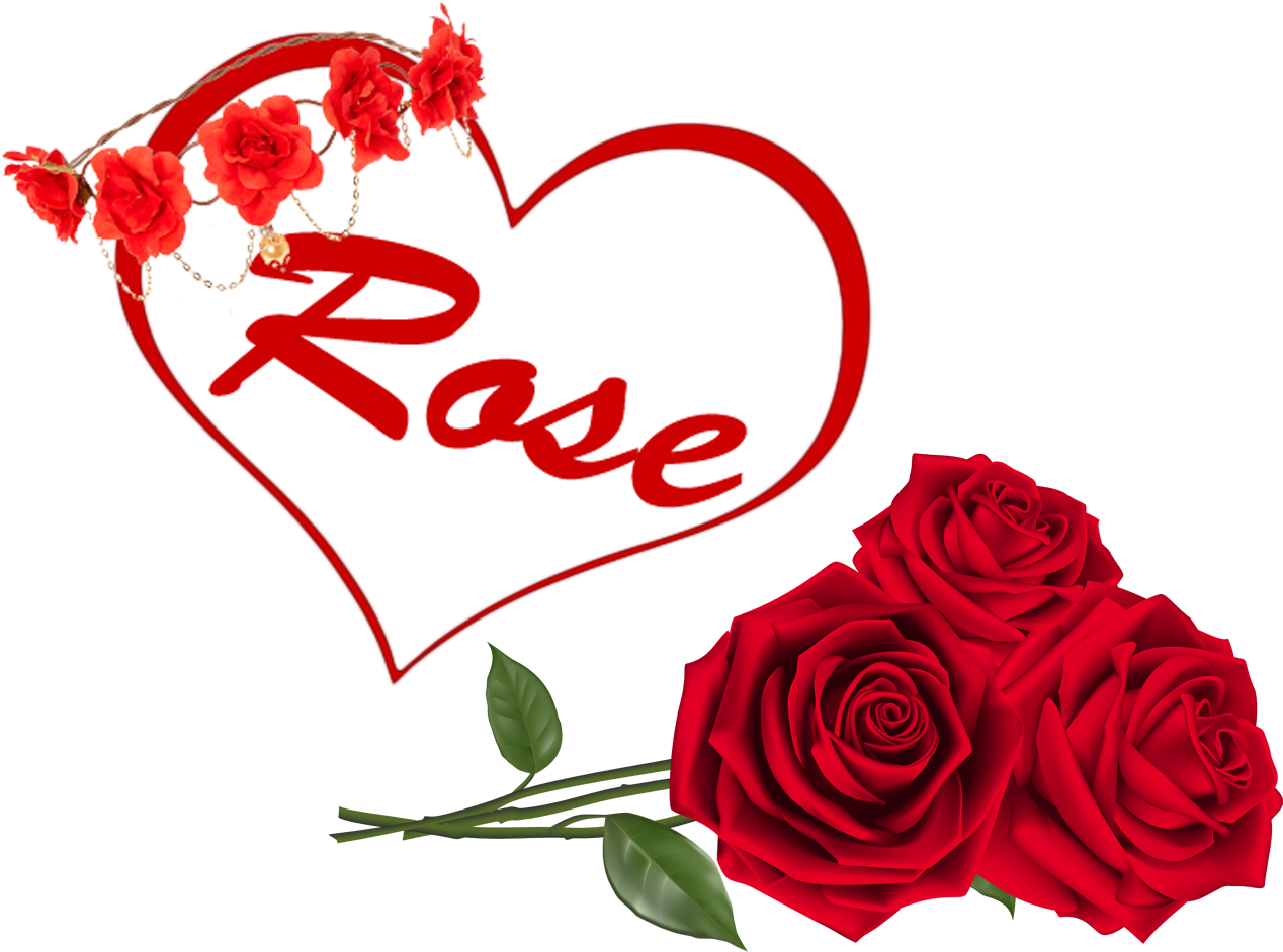 Rose Png Clipart - Rosas Rojas Png (1354x1046)