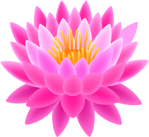Pink Lotus Transparent Png Clip Art Image - Lotus Psd (600x554)