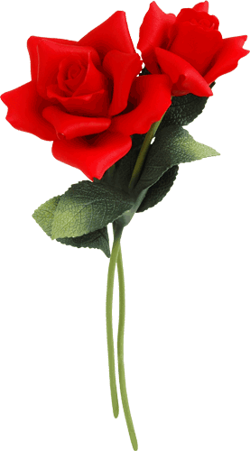 06 Jun 2010 - Two Long Stemmed Red Roses (277x500)