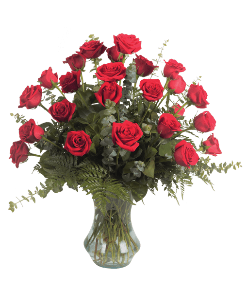 Two Dozen Rose Arrangement, Premium - Dozen Red Roses (511x600)