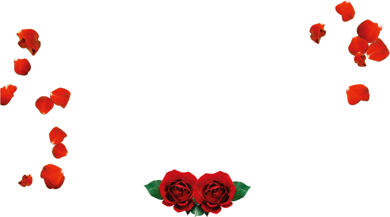 Petal Beach Rose Valentines Day Love Red - Heaven Scent: Love Letters From Beyond [book] (1275x795)