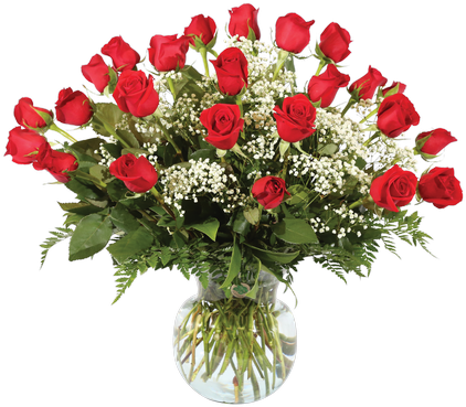Two Dozen Rose Arrangement - Johnson & Sons Florist (500x611)