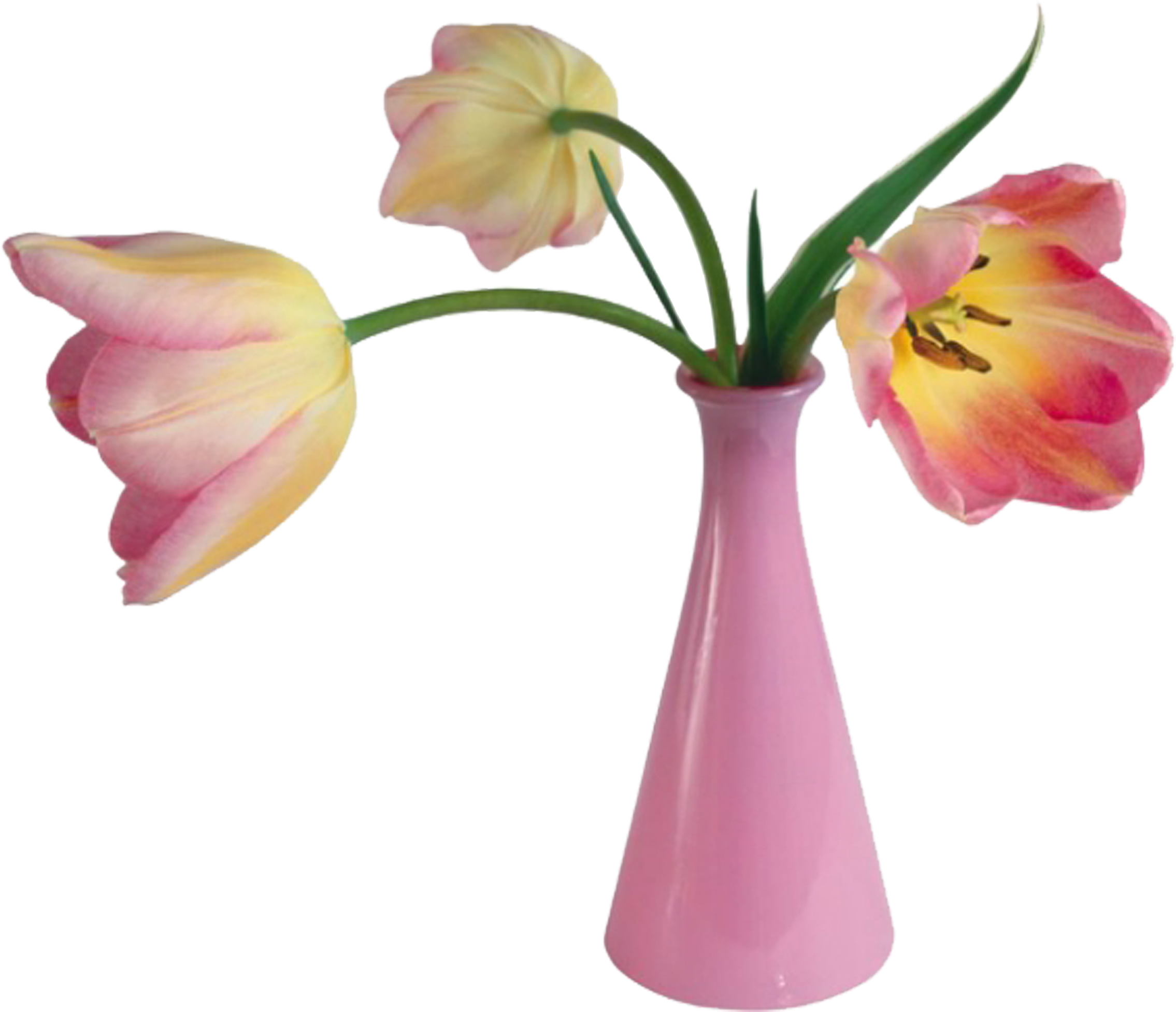 Valentines Day Flower Vase Clip Art - Happy Valentine's Day Card (2953x2953)