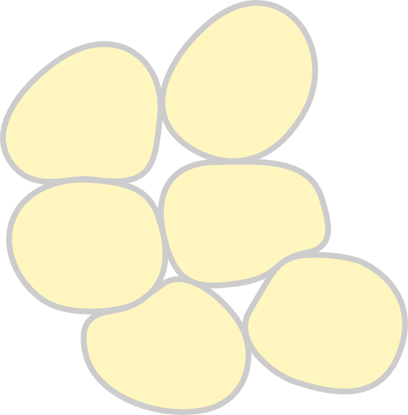 Adipose Tissue Clip Art At Clker - Adipose Tissue Transparent (588x599)
