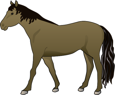 Equus Ferus Caballus - Horse Illustration (485x400)