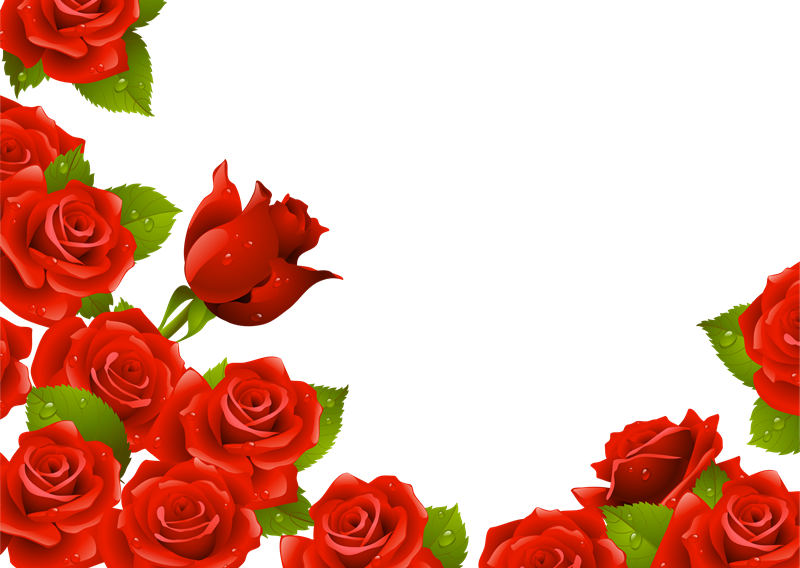 You Might Also Like - Rose (800x568)