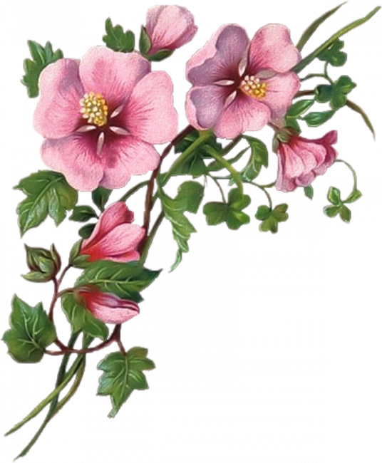 Esquinero - Welcome Images With Flower (536x650)