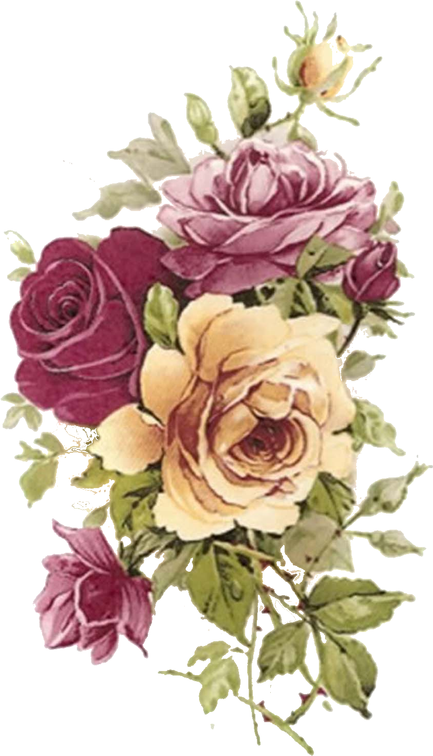 177 From Captive Decals - Berta Hedstrom Summertime Rose Bone China Pedestal (1005x1600)