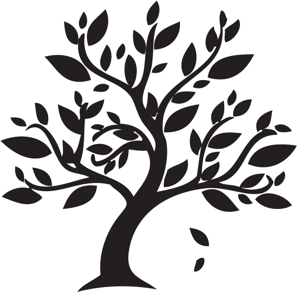 Picture Of Falling Leaves - Tree With Leaves Falling (800x600)