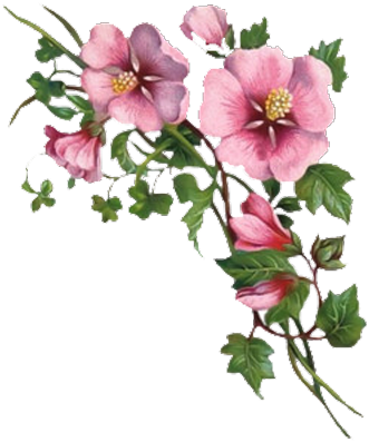 You Might Also Like - Welcome Images With Flower (400x400)