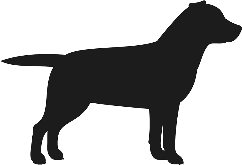 Labrador Retriever Stamp Dog, Cat Amp Fur Baby Stamps - Rottweiler Dog Vector Silhouette (800x800)