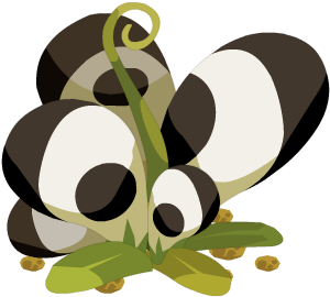 Pandkin - Dofus (400x300)