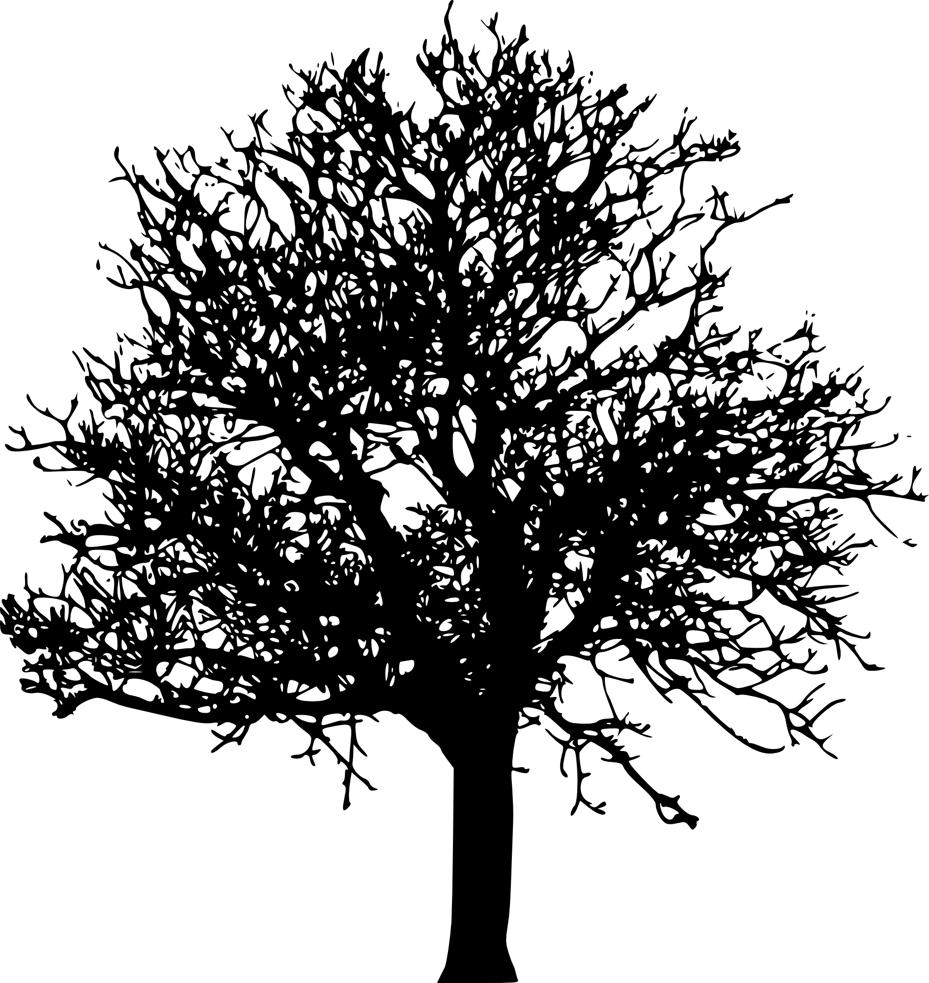 45 Tree Silhouettes Png Transparent Background - Tree Silhouette No Background (1891x2000)